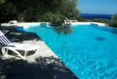 Petit Paradise 5-6